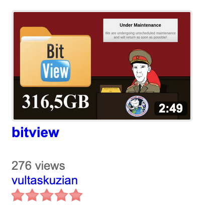 The Third BitView Leak